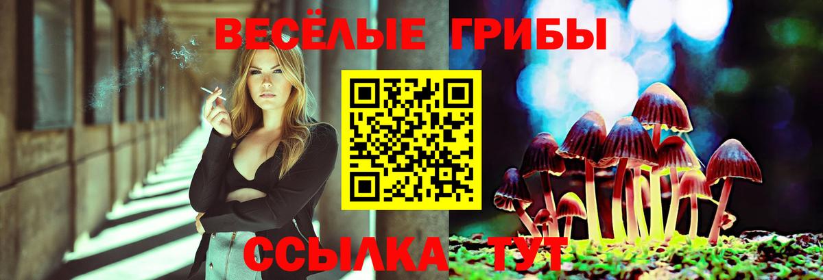 Новотроицк  Галлюциногенные грибы мухоморы  Вход с VPN  Галлюциногенные грибы Psilocybine cubensis 